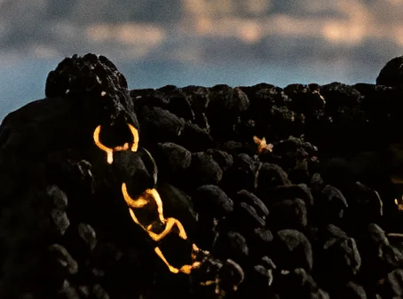 Catene dorate sull’intreccio nero