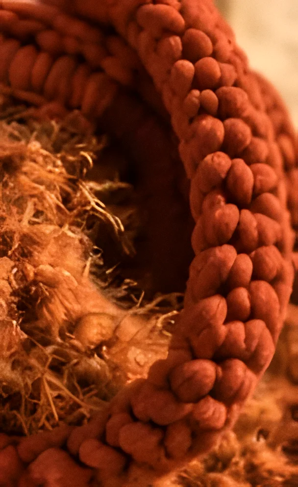 Primo piano del manico a cordone e del filato effetto piuma terracotta